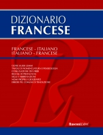 Copertina de DIZIONARIO FRANCESE