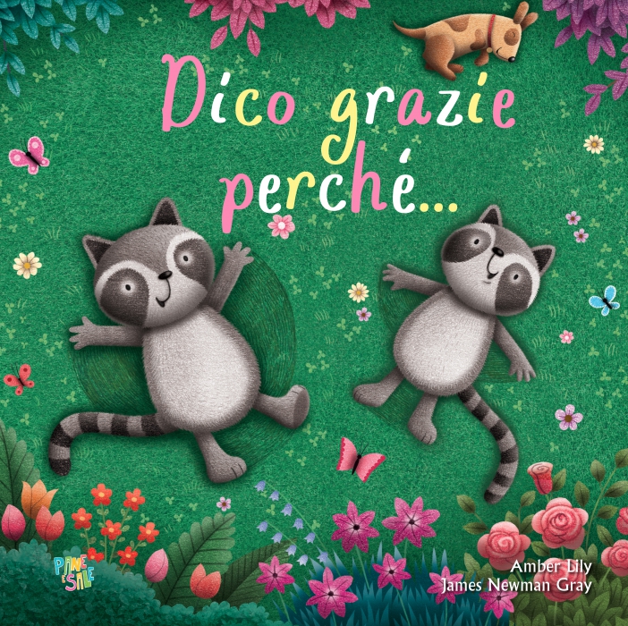 Copertina de DICO GRAZIE PERCHE'...