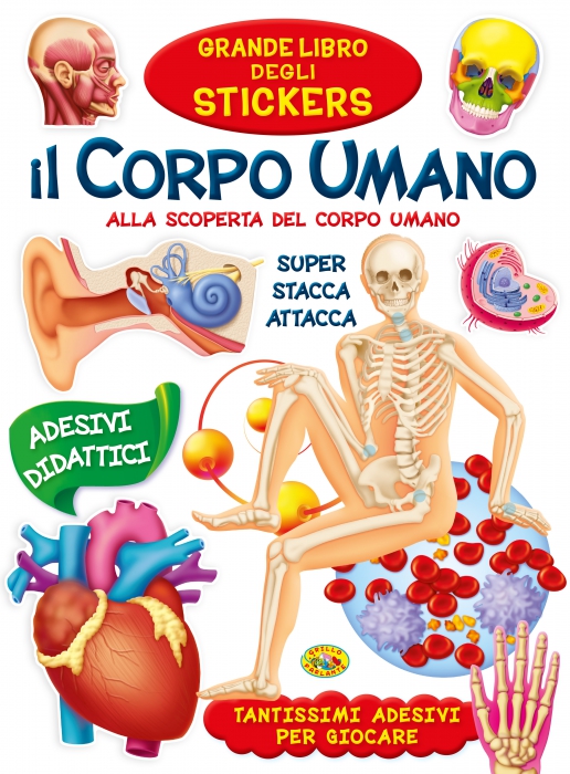 Copertina de CORPO UMANO STICKERS V.E.