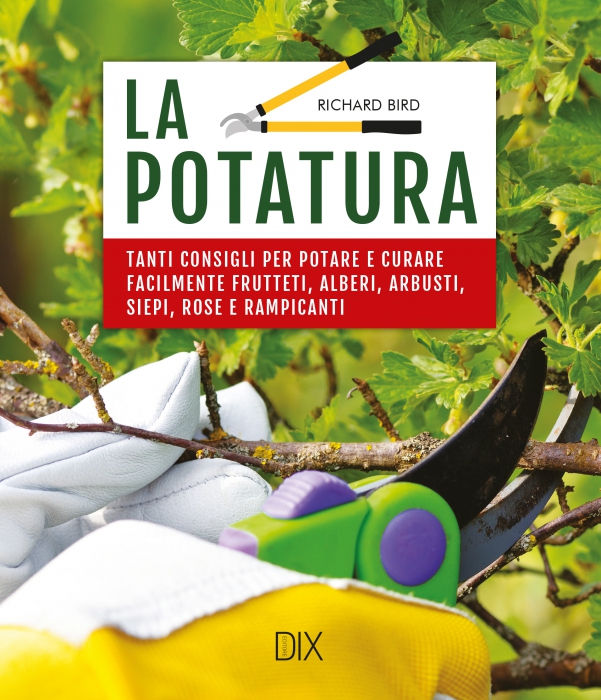 Copertina de POTATURA, LA
