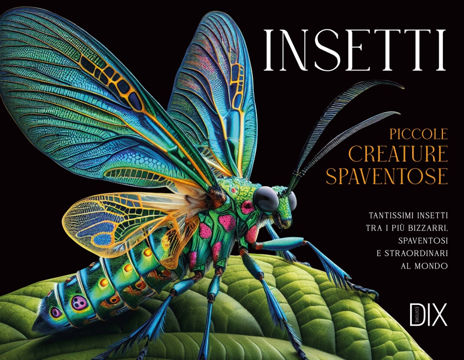 Copertina de INSETTI