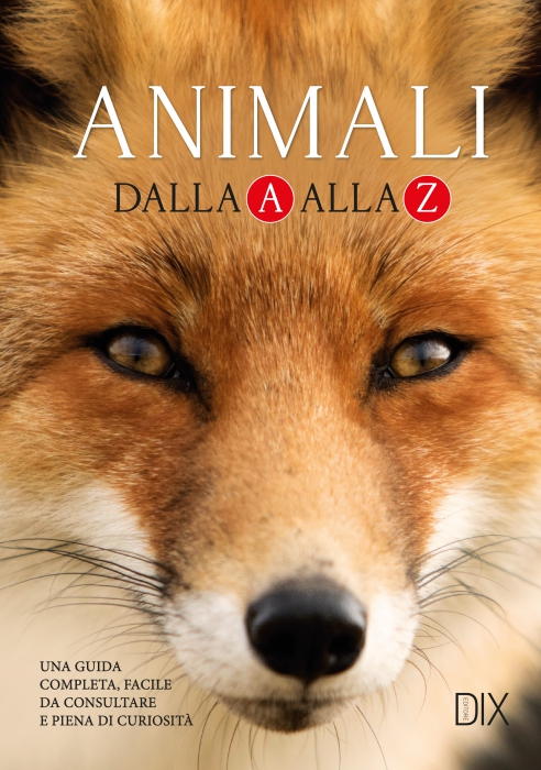 ANIMALI DALLA A ALLA Z Copertina de ANIMALI DALLA A ALLA Z